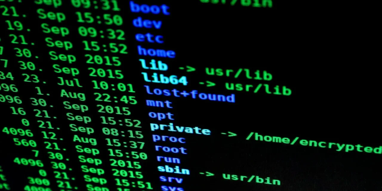 Europos didysis brolis skinasi kelią į vartotojų privatumą?