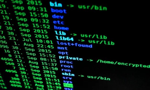 Europos didysis brolis skinasi kelią į vartotojų privatumą?